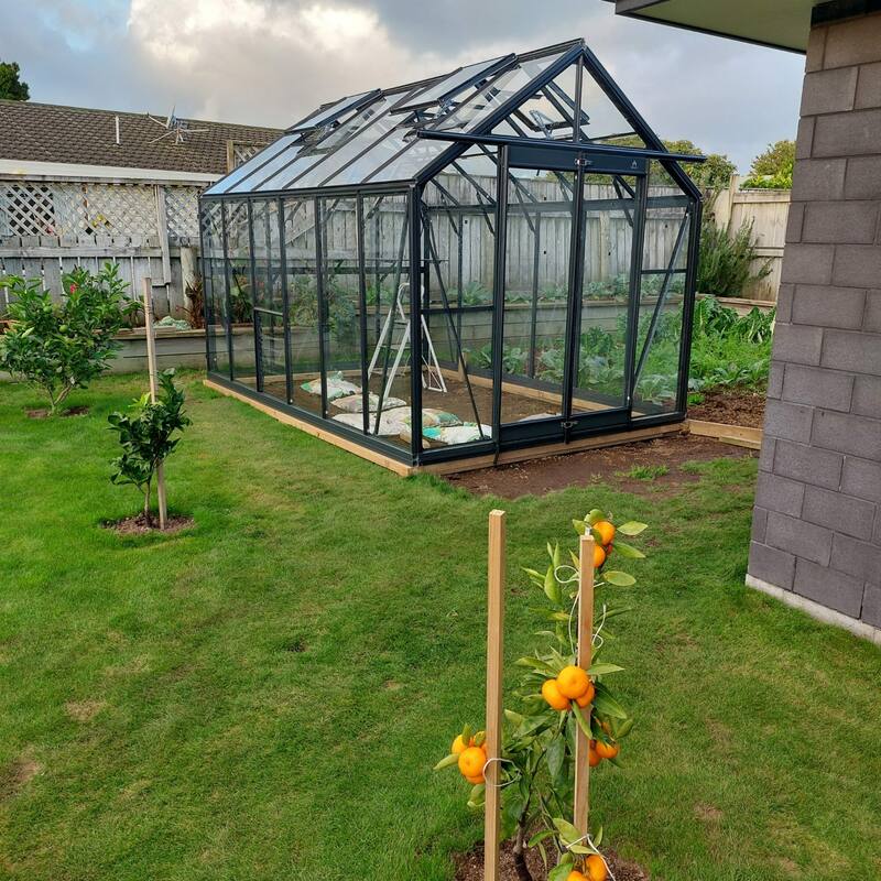 Glasshouse(Green Edition) 4mm toughened glass 2440 x 3640 x 2500mm steelmates
