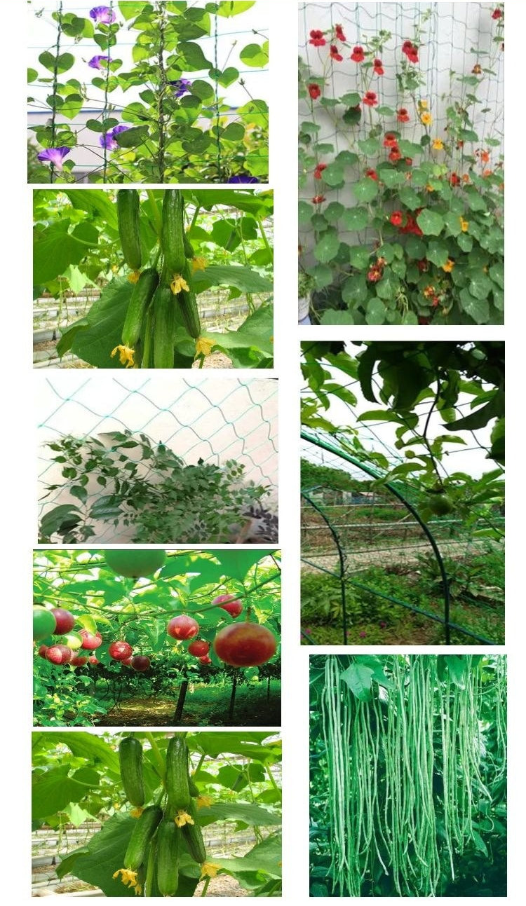 Heavy-Duty Garden Climbing Net for Vines & Vegetables Steelmates