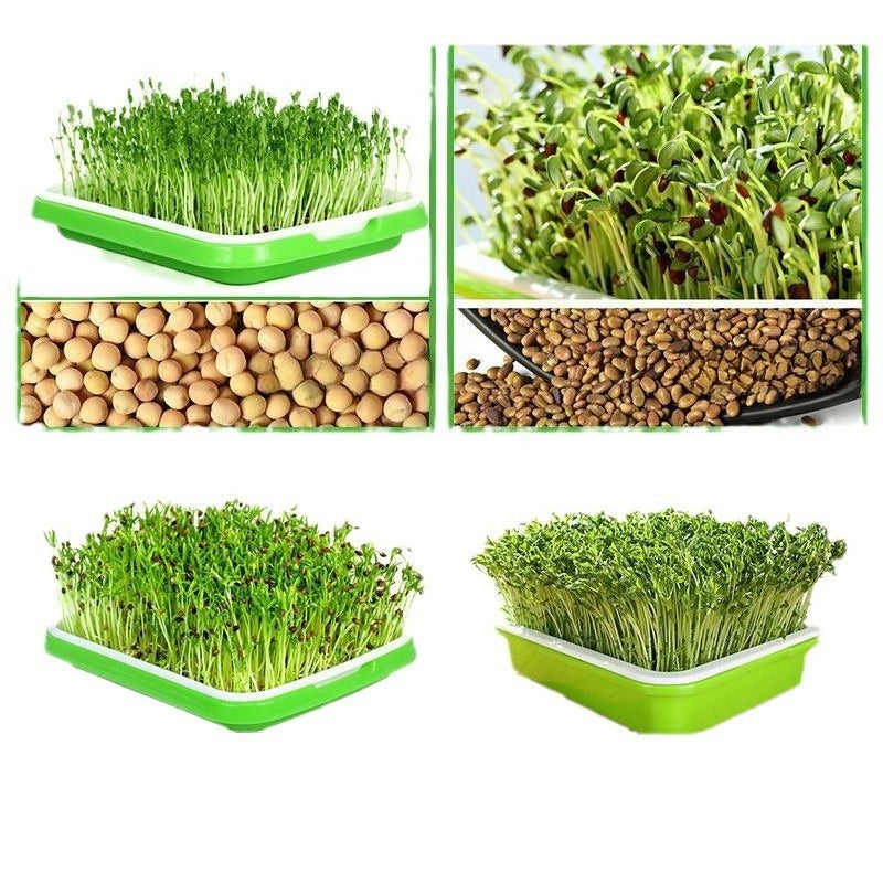 Double-Layer Hydroponic Sprout Growing Tray Set with Stand Steelmates