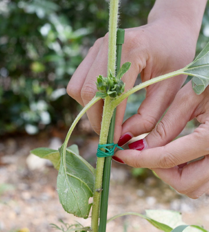 Garden Cable Tie with Cutter – Flexible Plant Binding Wire Steelmates