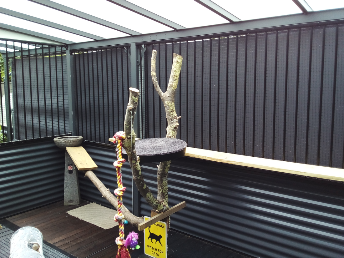 Patio cover and retractable awning project