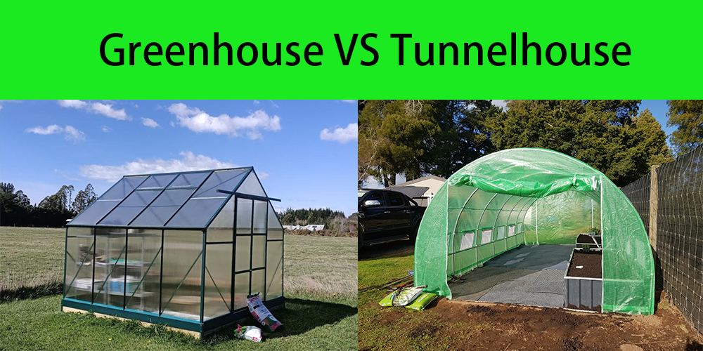 Polytunnel Greenhouse vs Aluminum Greenhouse: Choosing the Right Shelter for Your Plants