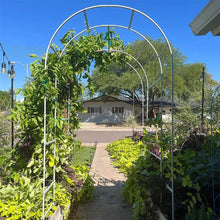 Heavy Duty Metal Garden Arch Trellis for Climbing Plants  Steelmates