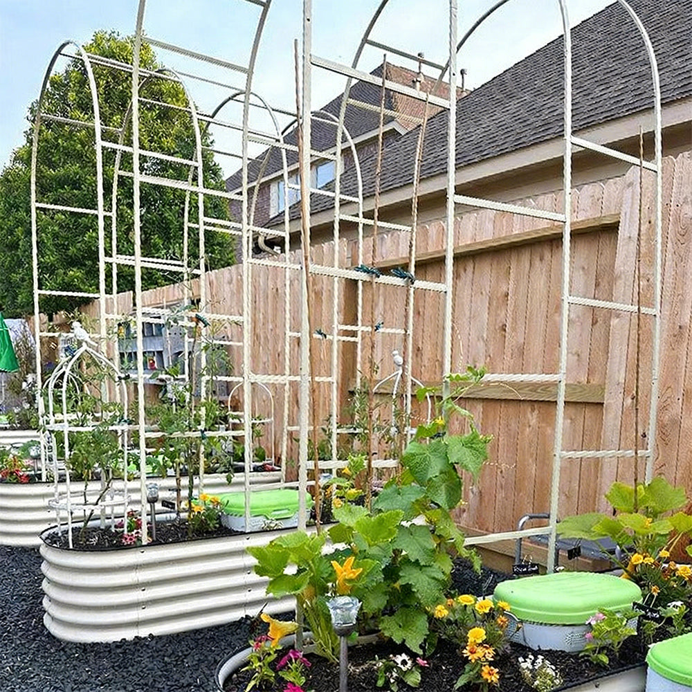 Heavy Duty Metal Garden Arch Trellis for Climbing Plants  Steelmates