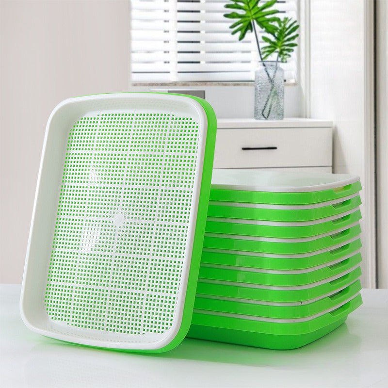 Double-Layer Hydroponic Sprout Growing Tray Set with Stand  Steelmates