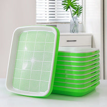 Double-Layer Hydroponic Sprout Growing Tray Set with Stand  Steelmates