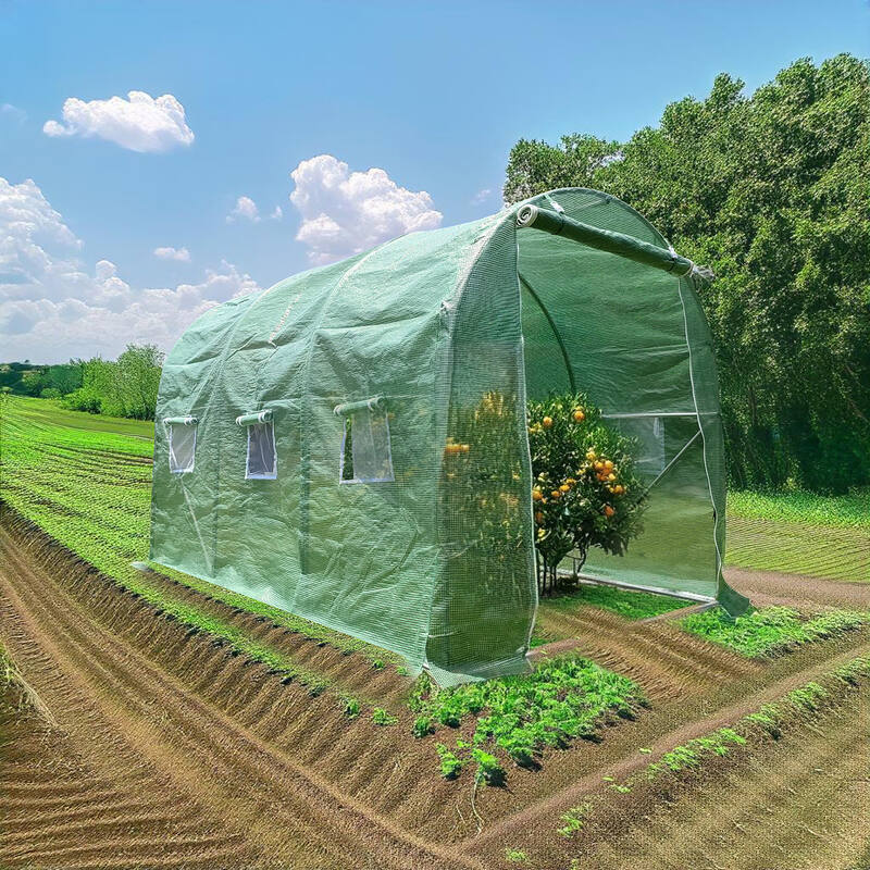 3m x 2m x 2m Tunnel Greenhouses Strong Galvanised Frame
