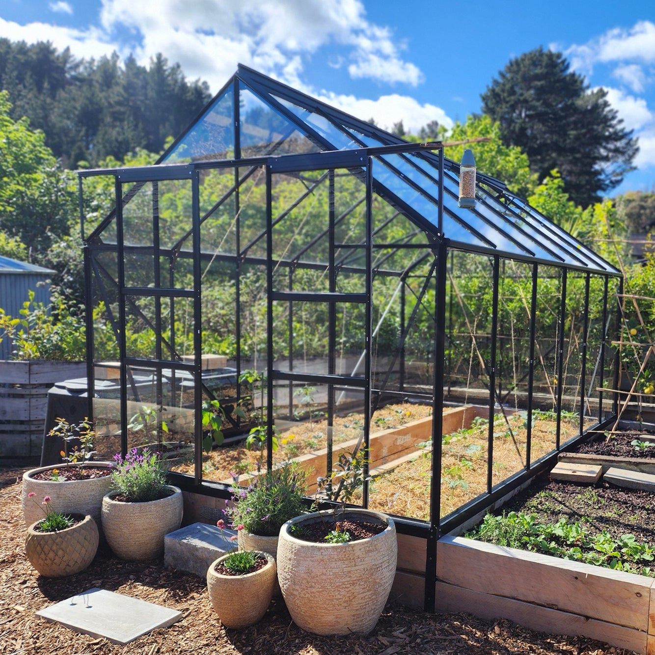 Glasshouse 4mm toughened glass 2570 x 3830 x 2320mm  steelmates
