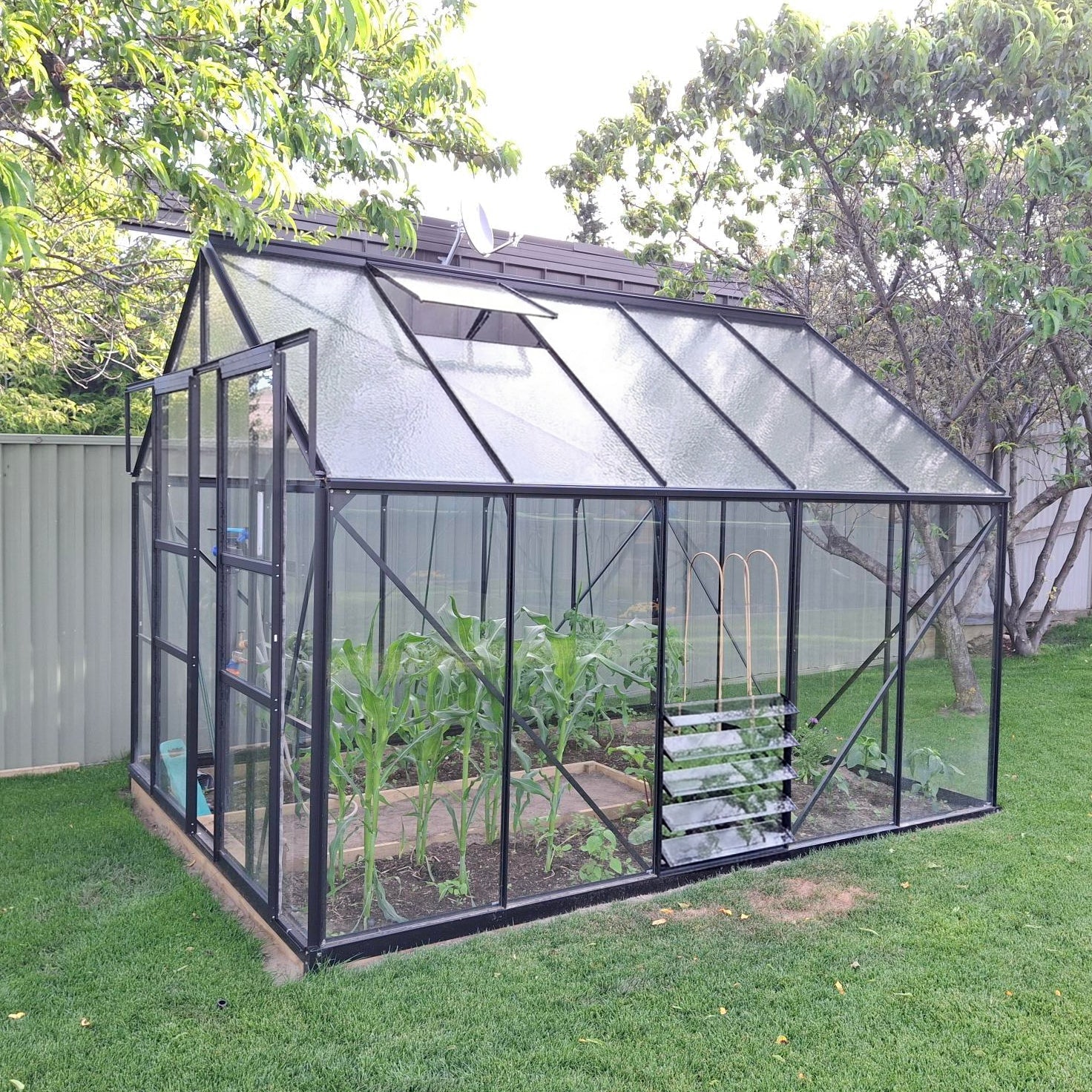Glasshouse 4mm toughened glass 2570 x 3210 x 2320mm  steelmates