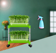 Double-Layer Hydroponic Sprout Growing Tray Set with Stand -AI116  Steelmates