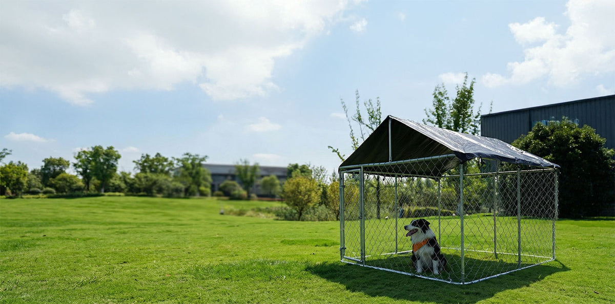 Mod Dog Running Rack Large Dog Run Outdoor Expansion Accessory 1M – Steelmates