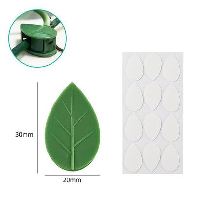 Plant Climbing Wall Clips – Nail-Free Self-Adhesive Vine Holders  Steelmates