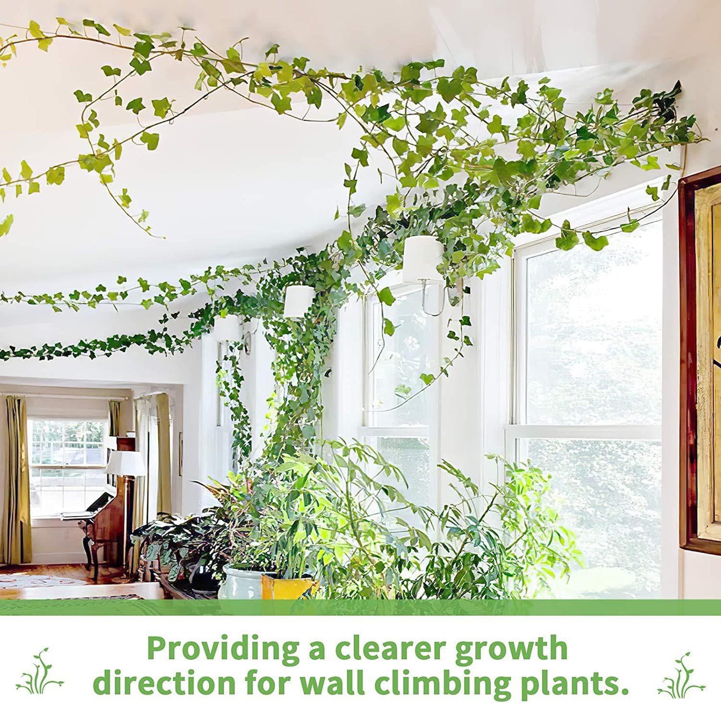 Plant Climbing Wall Clips – Nail-Free Self-Adhesive Vine Holders  Steelmates