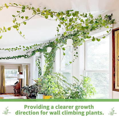 Plant Climbing Wall Clips – Nail-Free Self-Adhesive Vine Holders  Steelmates