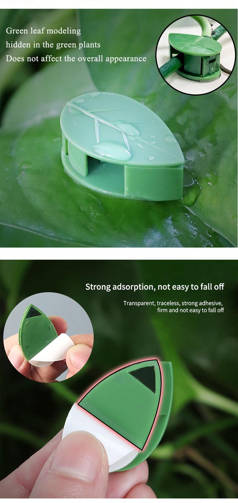 Plant Climbing Wall Clips – Nail-Free Self-Adhesive Vine Holders  Steelmates
