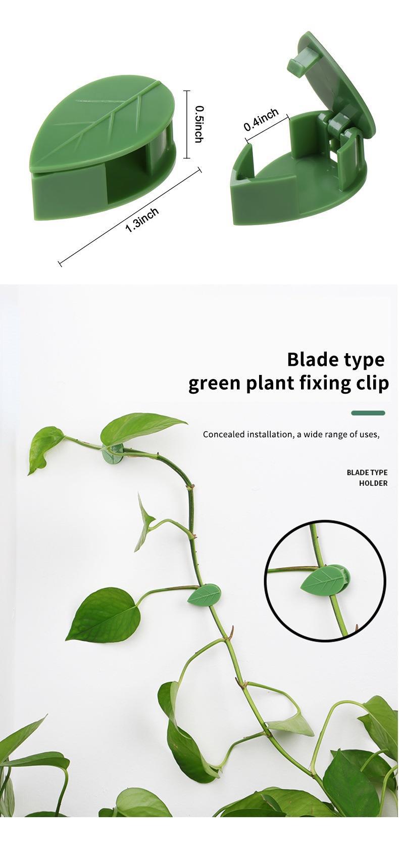 Plant Climbing Wall Clips – Nail-Free Self-Adhesive Vine Holders  Steelmates