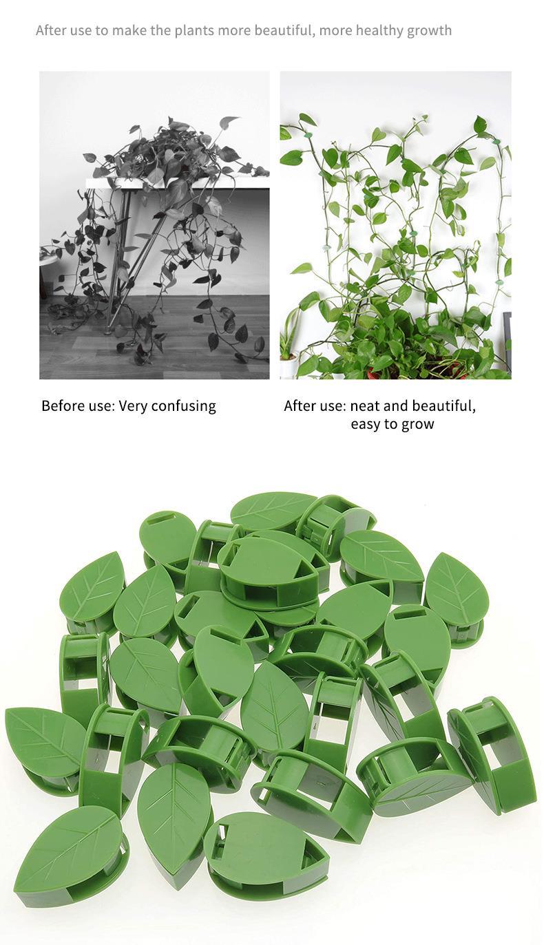 Plant Climbing Wall Clips – Nail-Free Self-Adhesive Vine Holders  Steelmates