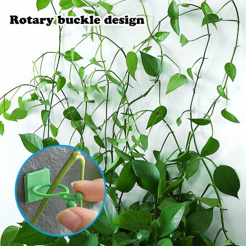 Plant Climbing Wall Clips – Nail-Free Self-Adhesive Vine Holders  Steelmates