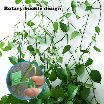 Plant Climbing Wall Clips – Nail-Free Self-Adhesive Vine Holders  Steelmates