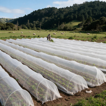 60 Mesh Garden Insect Netting, PE Vegetable Plant Protection Net, Lightweight Pest & Bird Control Mesh  Steelmates