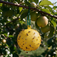 Hanging Yellow Sticky Trap Ball Outdoor Garden Fruit Fly Catcher  Steelmates