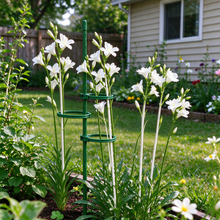 Fiberglass Plant Support Stakes with Adjustable Clips for Tomato & Vine Plants  Steelmates