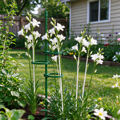 Fiberglass Plant Support Stakes with Adjustable Clips for Tomato & Vine Plants  Steelmates