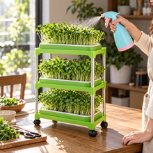 Double-Layer Hydroponic Sprout Growing Tray Set with Stand  Steelmates