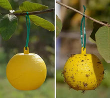 Hanging Yellow Sticky Trap Ball Outdoor Garden Fruit Fly Catcher  Steelmates