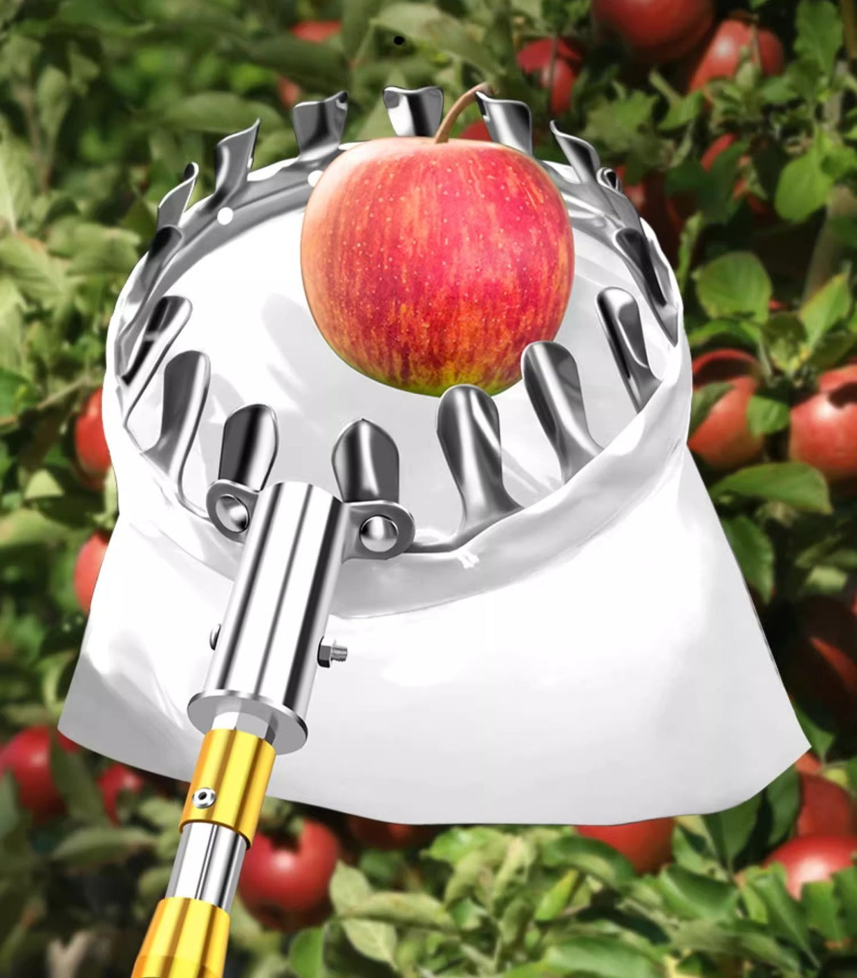 2.1M Telescopic Fruit Picker with Storage Bag Stainless Steel Pole Apple, Pear & Citrus Harvester  Steelmates