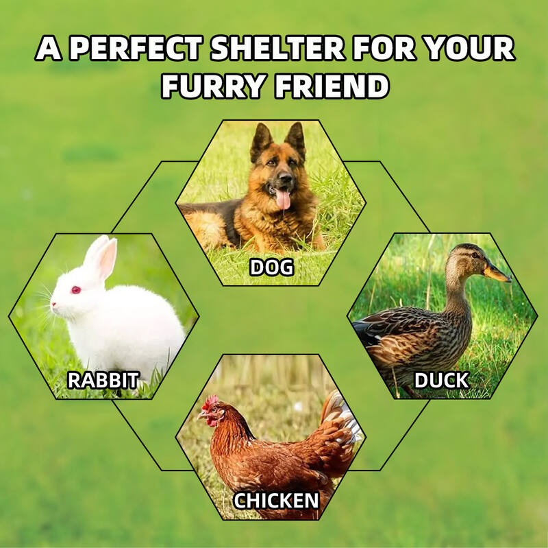 Large Dog Run Outdoor with Cover 3x3x1.8m