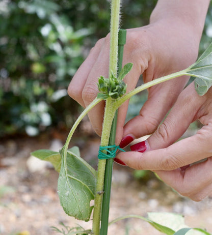 Garden Cable Tie with Cutter – Flexible Plant Binding Wire  Steelmates