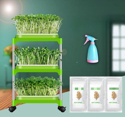 Double-Layer Hydroponic Sprout Growing Tray Set with Stand  Steelmates