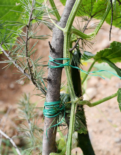 Garden Cable Tie with Cutter – Flexible Plant Binding Wire  Steelmates