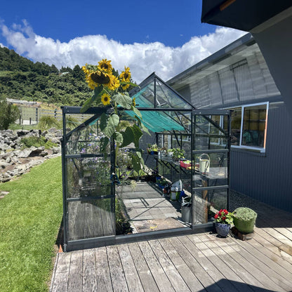 Glasshouse 4mm toughened glass 2440 x 3040 x 2340mm