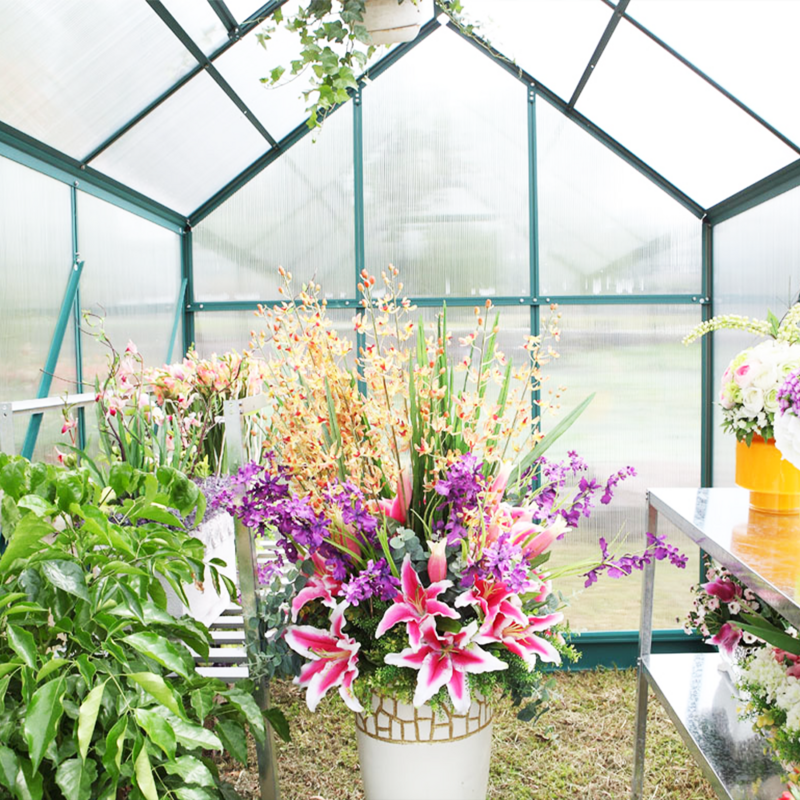 3m x 3m The Ultimate Greenhouse 6mm Twin Wall