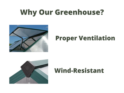 2.4m X 5.1m The Ultimate Greenhouse 6mm Twin Wall