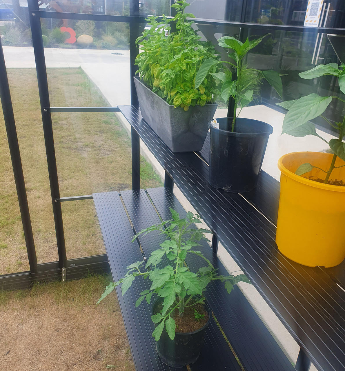 Single-Tier Shelving price per shelf