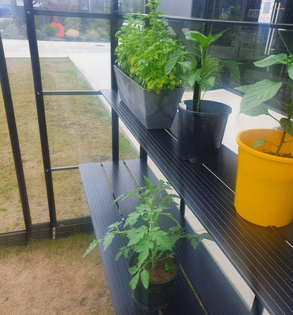 Single-Tier Shelving price per shelf