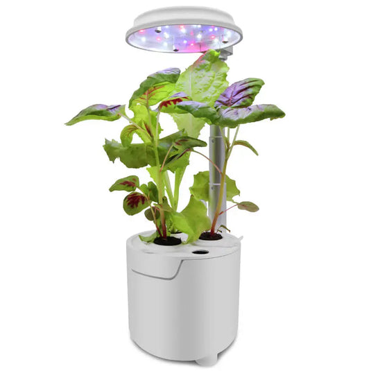 Indoor Planting Hydroponic Kit Vege Pods 2 pods - White steelmates