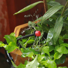 Adjustable Garden Irrigation Equipment Kit-25M